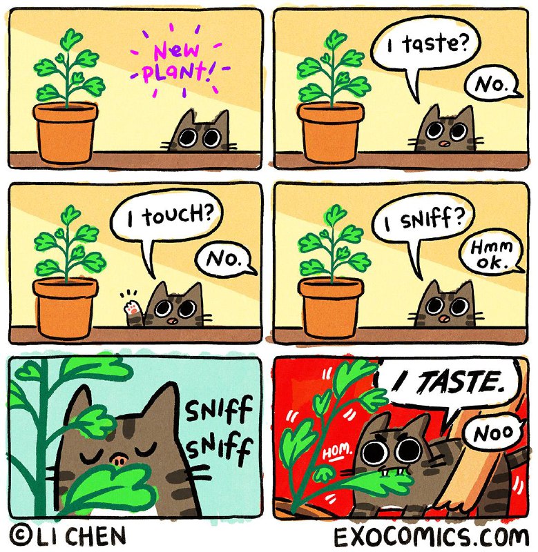 ----------------------new plantsource