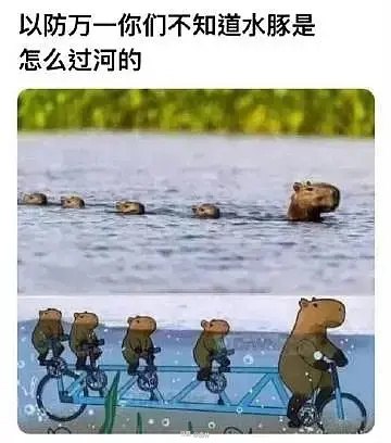 棒无 