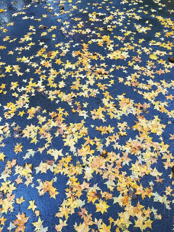 ----------------------好像星星洒在了地上source----------------------好像星星洒在了地上source