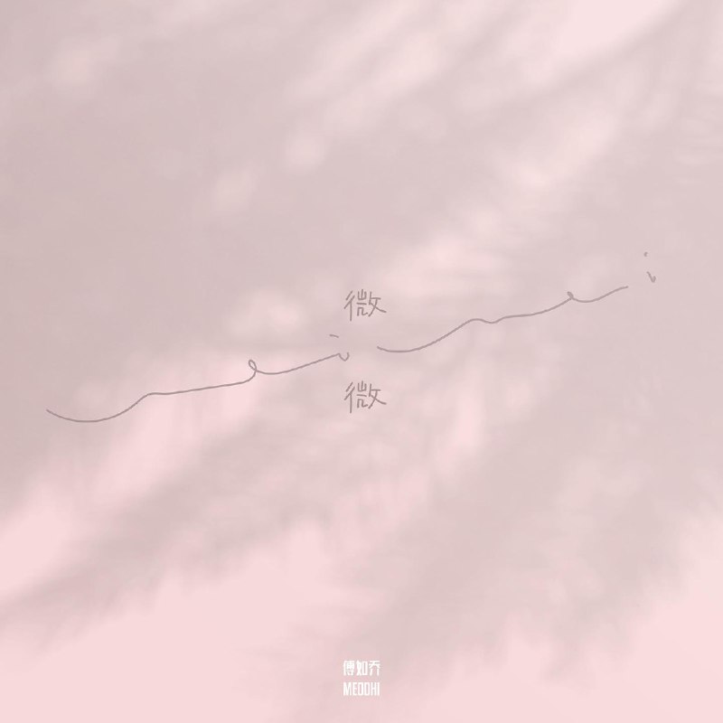 微微 - 傅如乔#喜欢的音乐歌手