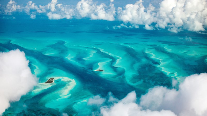 巴哈马的绿松石色水域 (© BlueOrange Studio/Adobe Stock)via Bing每日壁纸