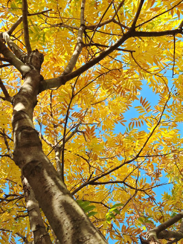 ----------------------#面包摄阳光好就是可以直出的source