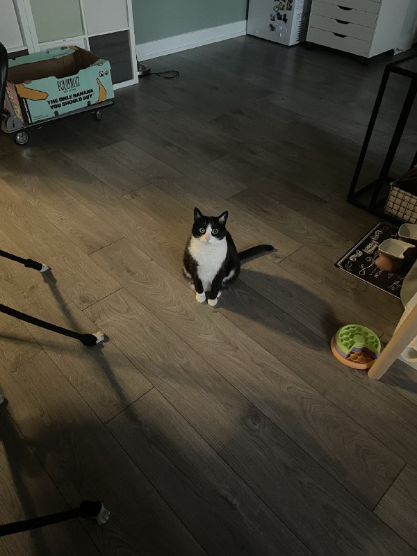 ----------------------记住这张要饭的脸source