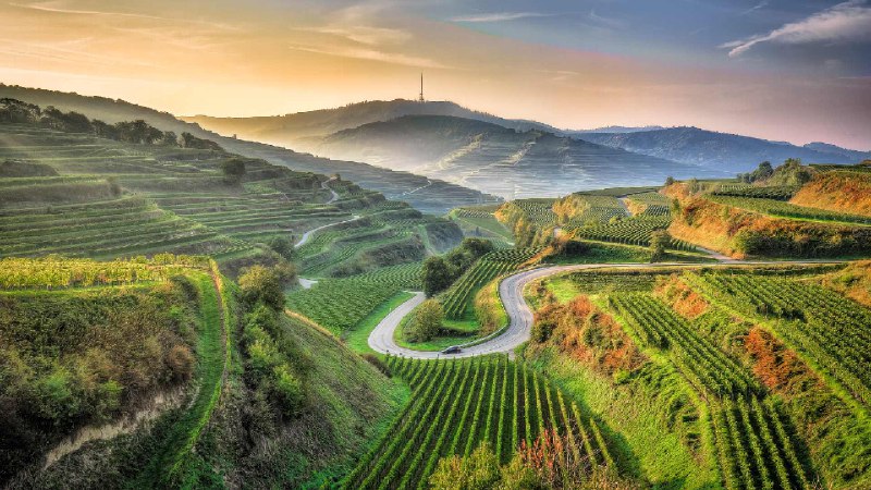 凯撒施图尔，巴登-符腾堡，德国 (© EyeEM Mobile GmbH/Getty Images)via Bing每日壁纸