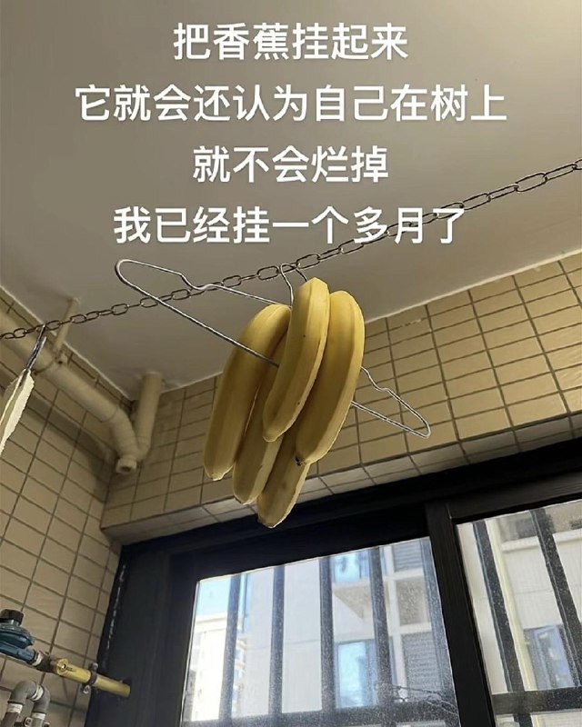 棒无 