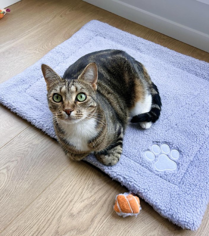 ----------------------hello welcome to sushi shopsource