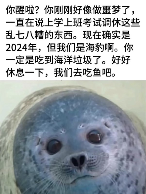 ----------------------我们去吃鱼吧source