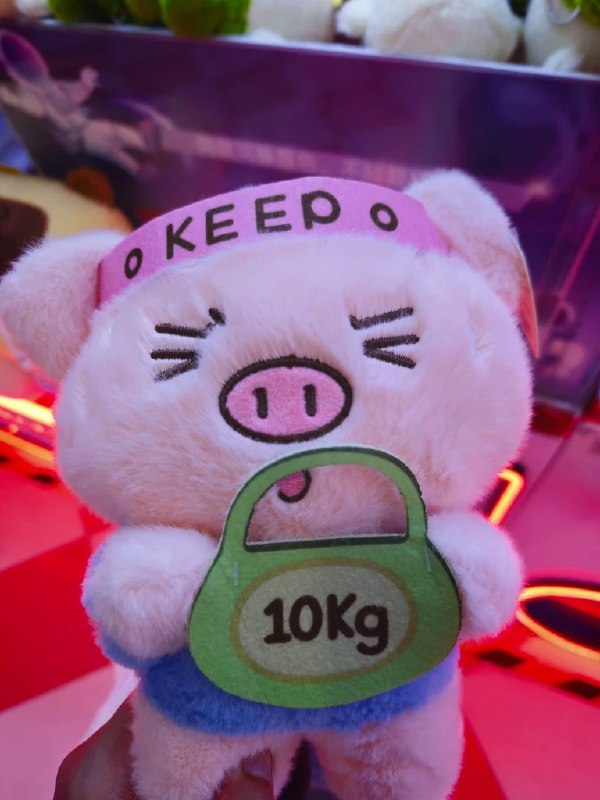 #博客更新2026年2月8日 要坚定选择 想想其实人生的重大选择也就那么几个 做好其实也不难 但总会因为不太坚定 再一次一次小的选择中偏离方向 所以无论遇到什么选择都要选择坚定 坚定 像动漫中的那样via 陪棒无度过漫长岁月