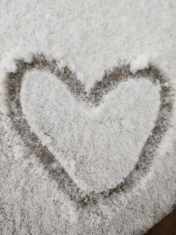 #博客更新2026年1月29日 我是厨房高手 最近在家办公 开始学着做饭了via 陪棒无度过漫长岁月