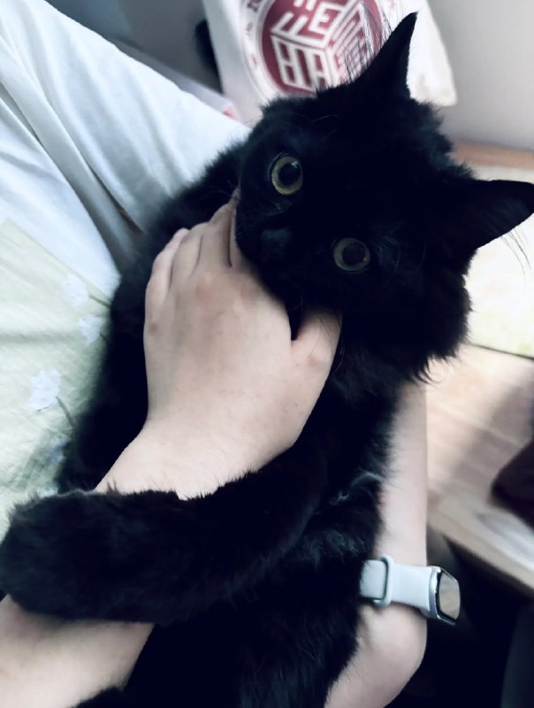 ----------------------第一次用闲鱼，发票也丢了不太了解行情，想知道这种自用的毛镯子能卖多少钱