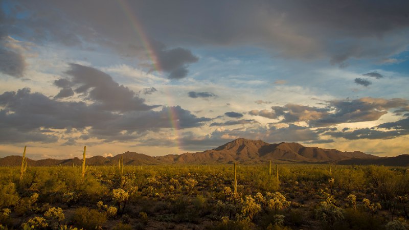 沃森峰上空的彩虹, 巨人柱国家公园, 亚利桑那州, 美国 (© Frank Staub/Getty Images)source