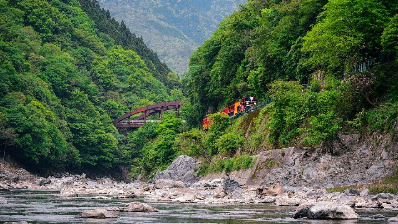 沿着岚山保津川行驶的火车，京都，日本 (© Alvin Huang/Getty Images)via Bing每日壁纸