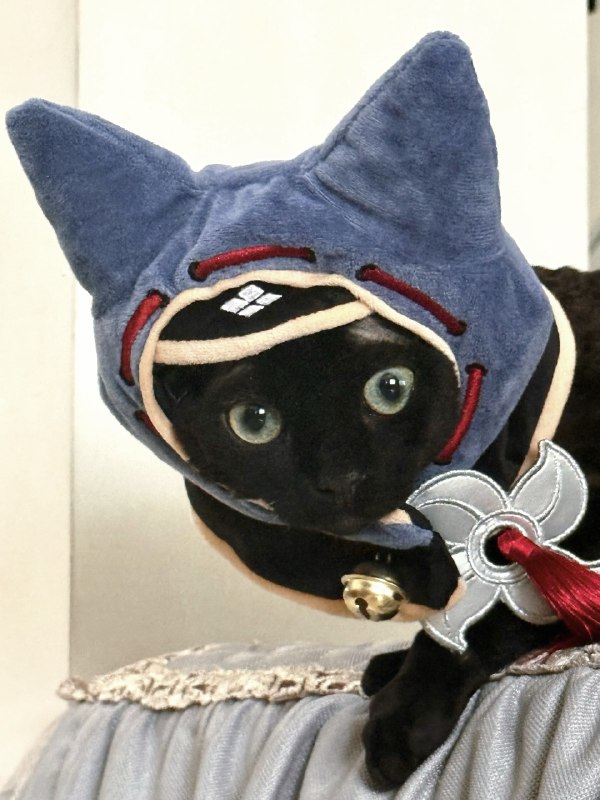 ----------------------一个人打游戏太危险了带上这个via bangwu (@bangwu)----------------------一个人打游戏太危险了带上这个via bangwu (@bangwu)