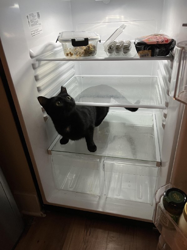 ----------------------理解晚餐成为晚餐source