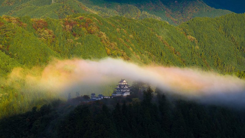 郡上八幡城，岐阜县，日本 (© ta2funk ito/500px/Getty Images)source