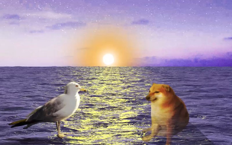 “cheems，你要去码头整点薯条吗？”iframe (bilibili html5 player)送给每一个被生活埋葬梦想的人