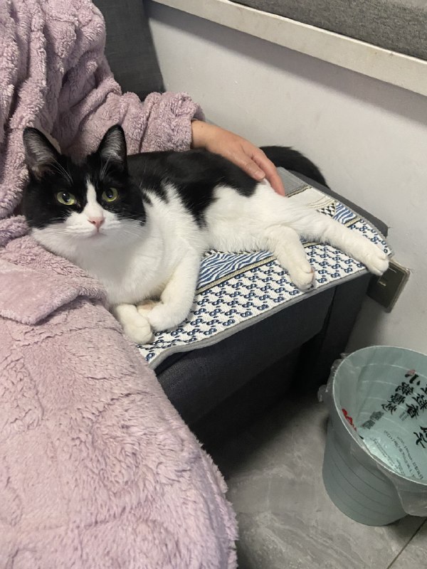 ----------------------过纪念日想要去上海环境好的西餐厅走过路过的香油求推荐🥹source