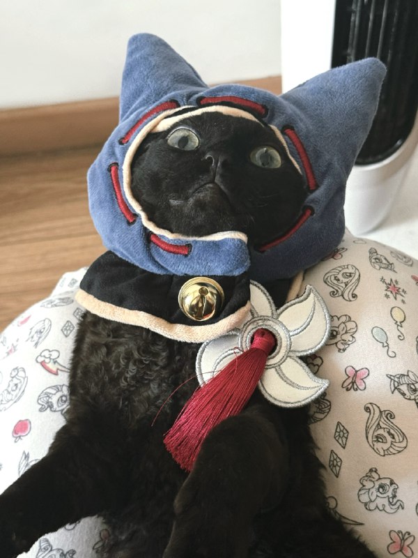 ----------------------一个人打游戏太危险了带上这个via bangwu (@bangwu)----------------------一个人打游戏太危险了带上这个via bangwu (@bangwu)