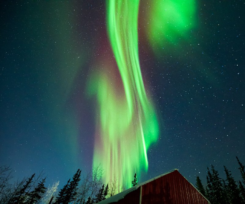 ----------------------Northern Lights tonight in Fairbanks, Alaska! #Alaska #NorthernLights #WinterInAlaskasource----------------------Northern Lights tonight in Fairbanks, Alaska! #Alaska #NorthernLights #WinterInAlaskasource