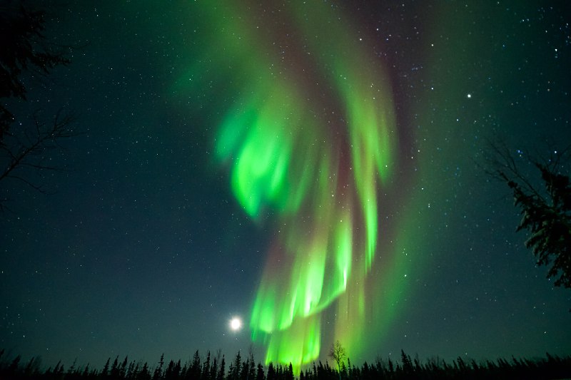 ----------------------Northern Lights tonight in Fairbanks, Alaska! #Alaska #NorthernLights #WinterInAlaskasource----------------------Northern Lights tonight in Fairbanks, Alaska! #Alaska #NorthernLights #WinterInAlaskasource