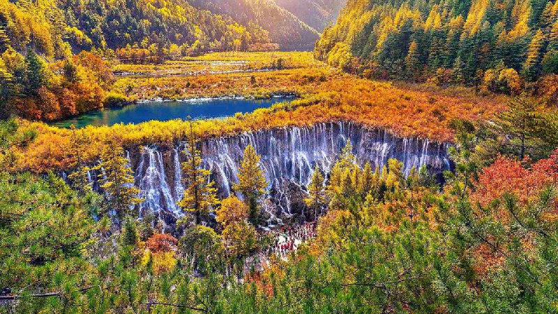 秋季九寨沟国家公园里的诺日朗瀑布, 四川省, 中国 (© tawatchaiprakobkit/Getty images)via Bing每日壁纸