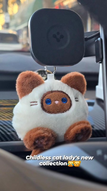 ----------------------太可爱了要拿出来炫耀一下 :blobaww:因为自闭多动儿童时刻都需要抚摸一些柔软毛绒的东西（