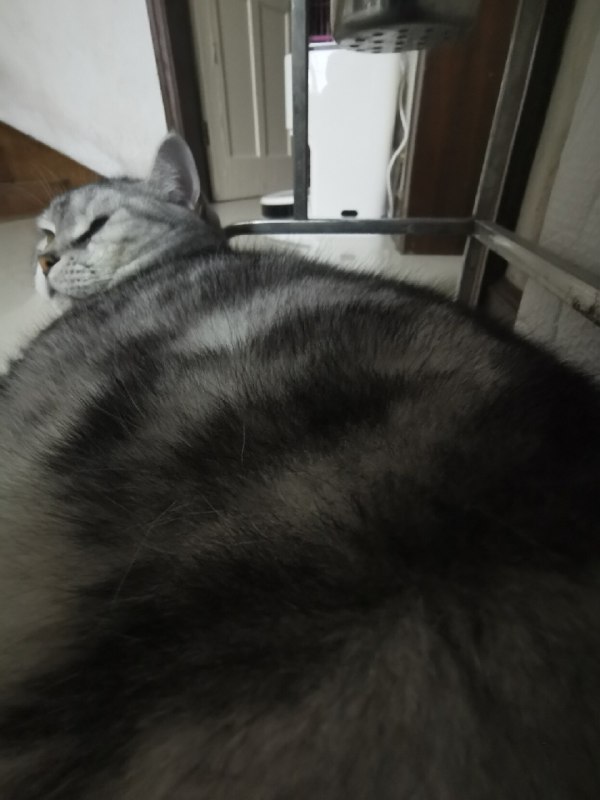 ----------------------提供免费床垫，不想上班的人可以过来躺会source