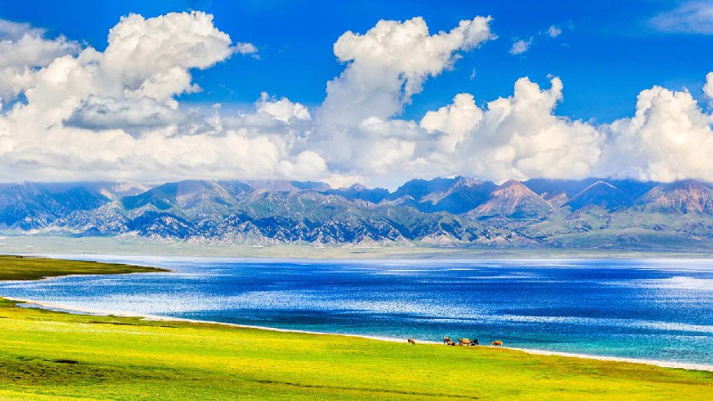 夏季的赛里木湖，博尔塔拉蒙古自治州博乐县, 中国新疆维吾尔自治区 (© Feng Wei Photography/Getty Images)via Bing每日壁纸