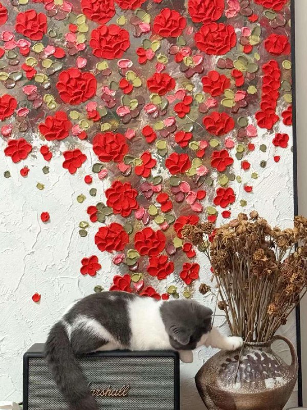 ----------------------请象友们亲亲友友家的猫猫 :blobaww:source