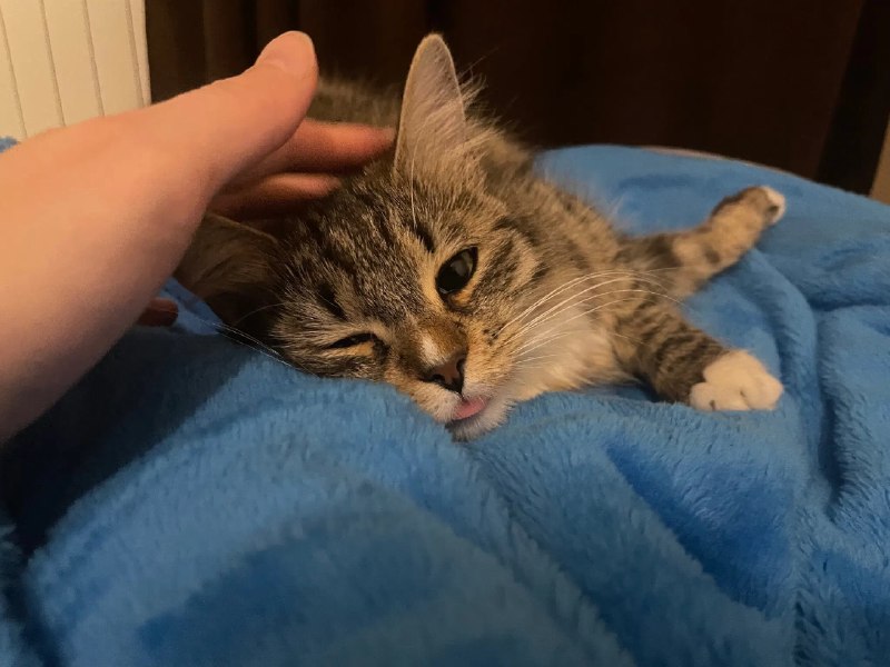 ----------------------​:neocat_melt_blep:​​:neocat_pat_flop:​source----------------------​:neocat_melt_blep:​​:neocat_pat_flop:​source