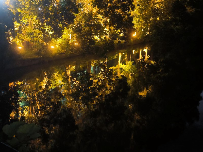 ----------------------散步的收获🥰🥰🥰source----------------------散步的收获🥰🥰🥰source