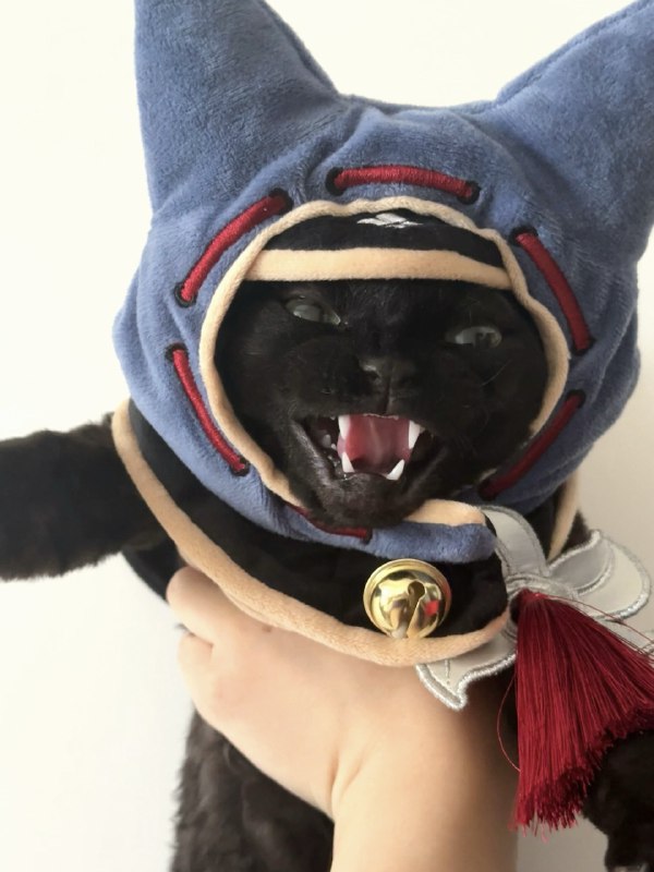 ----------------------一个人打游戏太危险了带上这个via bangwu (@bangwu)----------------------一个人打游戏太危险了带上这个via bangwu (@bangwu)