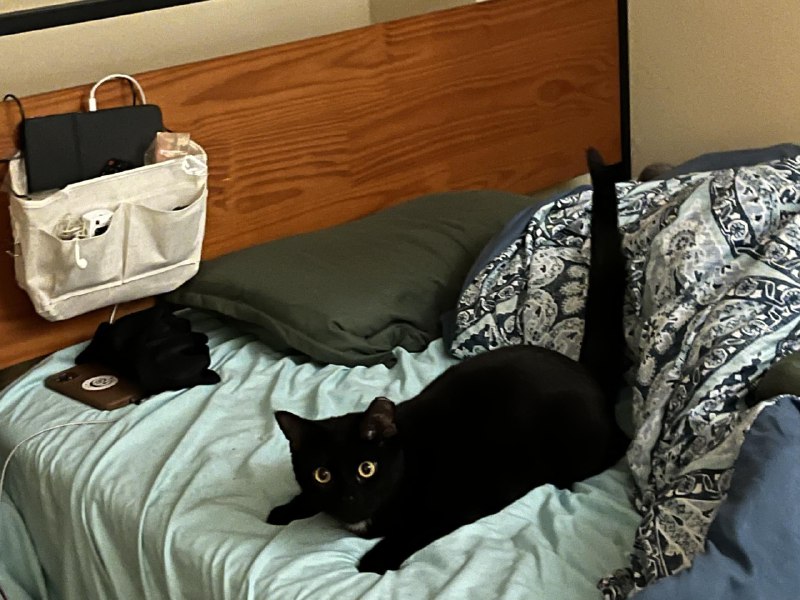 ----------------------嗷！source