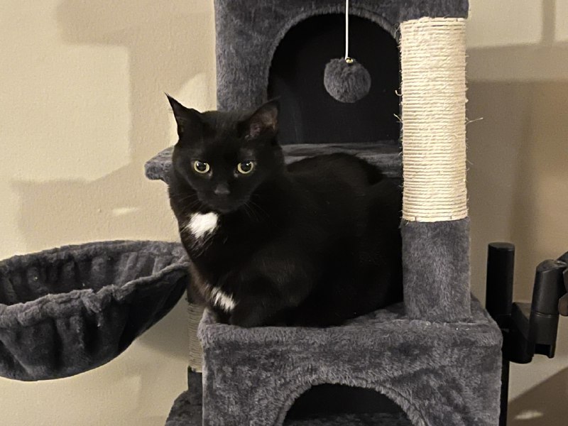 ----------------------嗯？source----------------------嗯？source