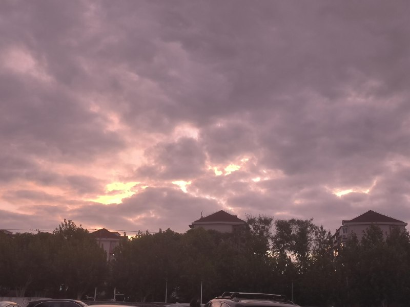 ----------------------散步的收获🥰🥰🥰source----------------------散步的收获🥰🥰🥰source