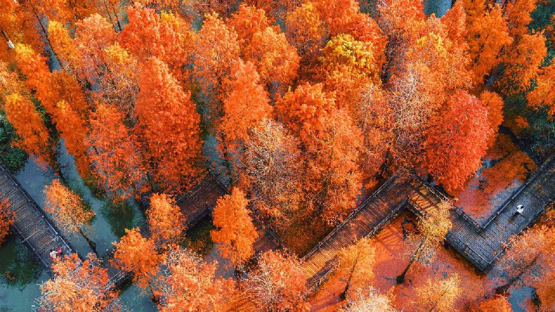 航拍中国江苏省常州翠竹公园 (© Xu Changyu/Getty images)via Bing每日壁纸