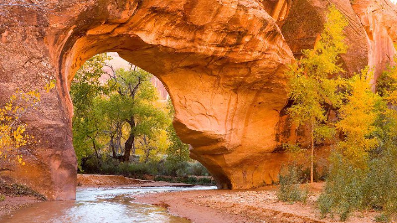 郊狼峡谷拱门中的白杨树，格兰峡谷休闲区，犹他州，美国 (© Stephen Matera/TANDEM Stills + Motion)source