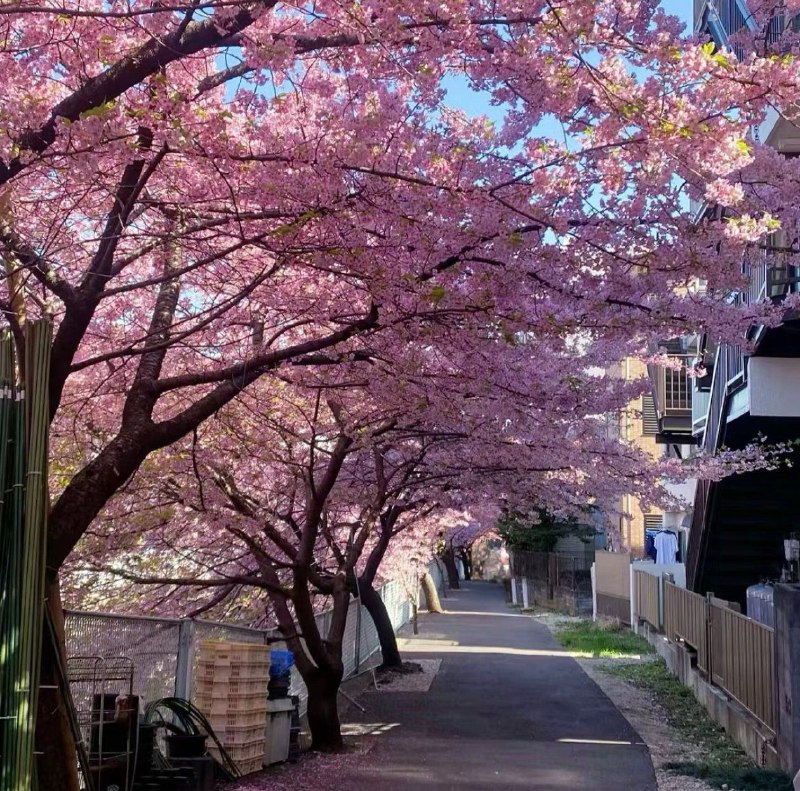 其实你很厉害你三观正 有教养 性格也不错 你清醒又独立 你一个人也走了很远很远的路你是最棒的自己 你不必太敏感 不必太焦虑 去做真实的自己就好 请你答应我 千万别再否定自己了祝你能在乱七八糟的生活里 找到属于自己的那份快乐 在这虚伪的世界里 去活成自己想要的样子你很好 一直以来都很好