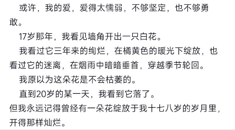 或许，我爱得太懦弱