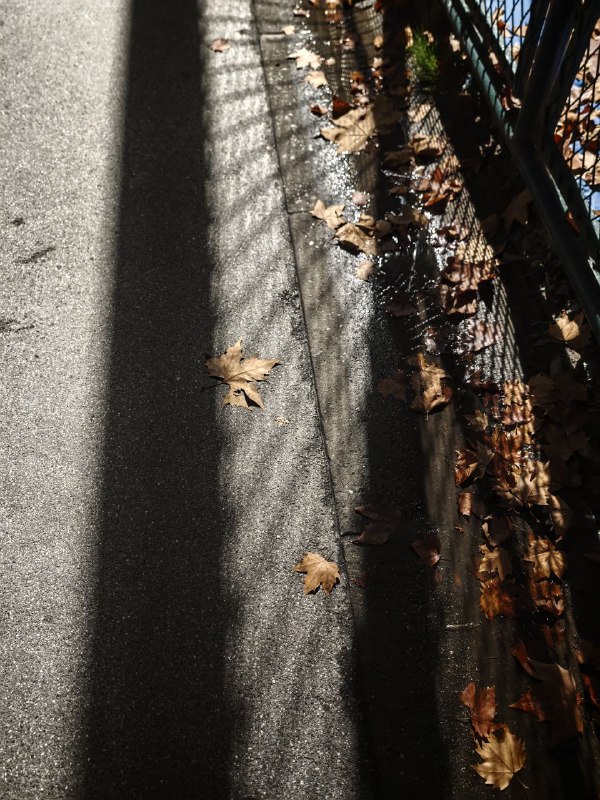 有时候很郁闷 就晚上出来一个人散散步 这样似乎可以忘记所有烦恼 就只有我与地球可是还是忍不住去想....